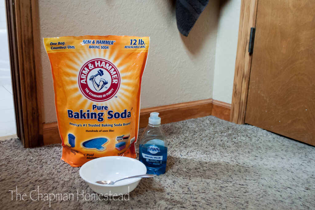 Photo of 12 pound bag of baking soda, small bottle of blue dawn dish soap, bowl with spoon in it.