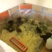 Photo of the inside of a duck brooder showing the set up with water, feed tray, brooding plates, and pine shavings