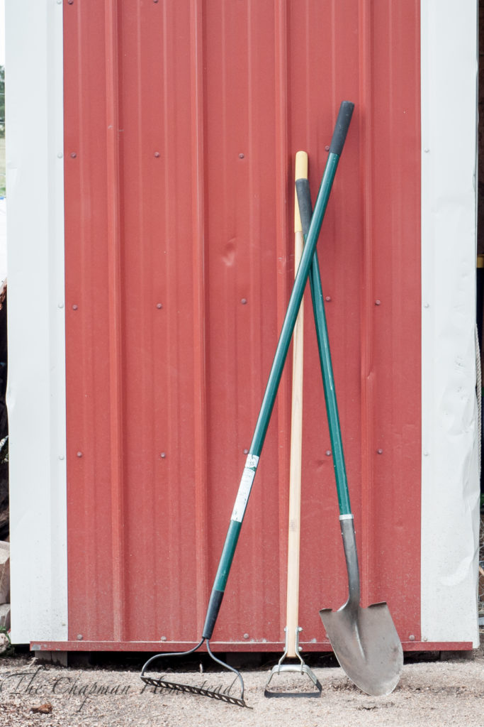 Photograph of garden tools for homesteaders. A bow rake, stirrup hoe, and digging shovel leaning up against the side of a barn