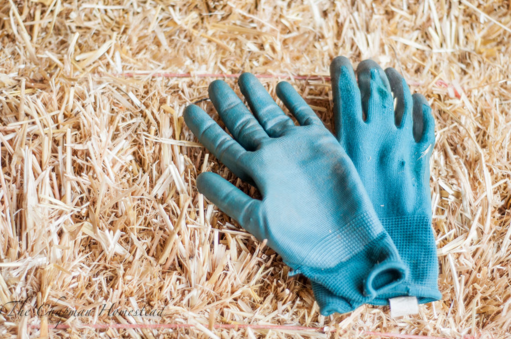 Pair of blue gardening gloves sitting on straw.