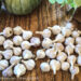 Picture of many full heads of garlic on a table. There's a hint of a pumpkin and a house plant in the background.