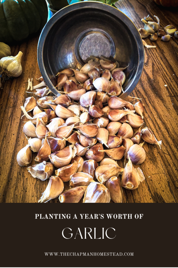 Pinterest image of garlic pouring out of metal bowl.